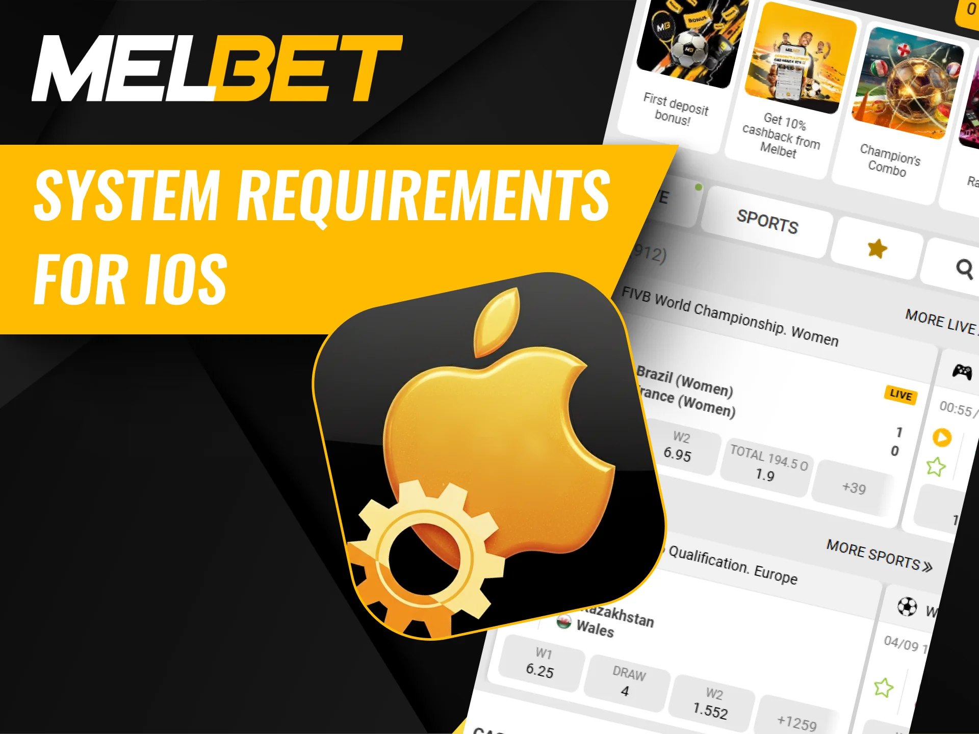 System requirements for iOS devices.