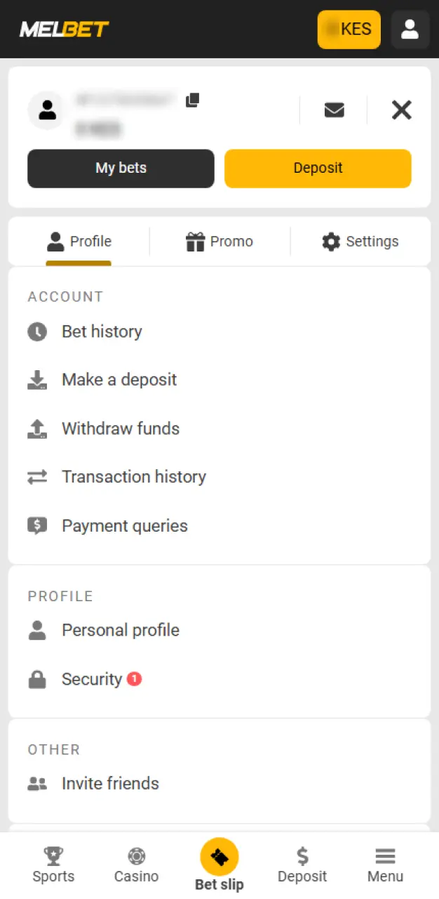 Player profile on Melbet Kenya.